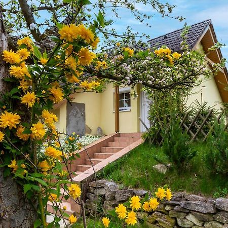 Apartmanovy Dum Vilémovice Esterno foto